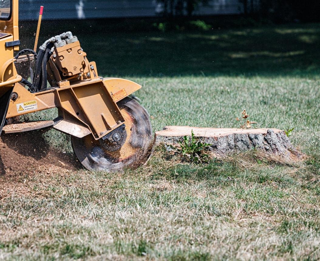 Stump grinding service in progress