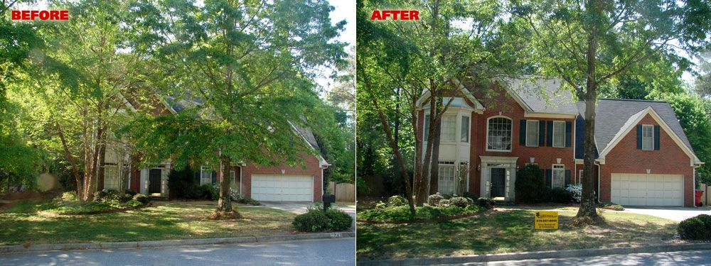 Before and after tree trimming by Ballentine Tree Service